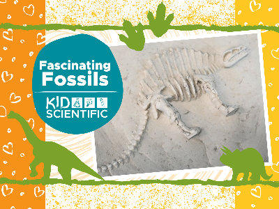 Kidcreate Studio - Eden Prairie. Fascinating Fossils Workshop (4-9 Years)